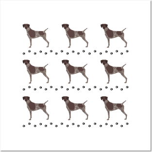 German Shorthaired Pointer Dog Pattern Posters and Art